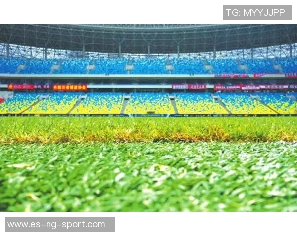 足球的热爱永不消逝在绿茵场上我们共同追逐梦想的脚步